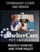 Shelter Care Insurance