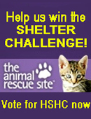 Shelter Challenge