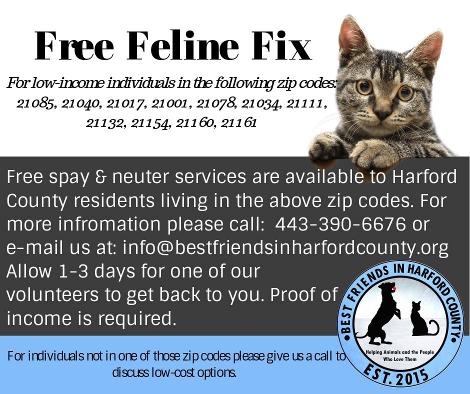 cheap places to neuter a cat near me