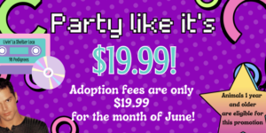 Party Like It’s $19.99